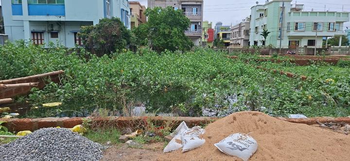 Jagamara Main Image 1
