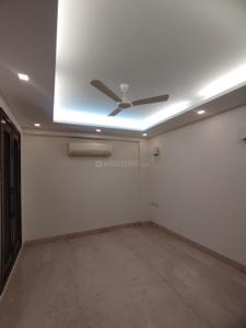 Hall Image of 2500 Sq.ft 4 BHK Builder Floor for rent in Green Park New Delhi for Rs. 225000