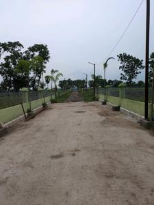 Bhasa Eco Village Internal Roads 1