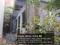 Ramna Plot View 2