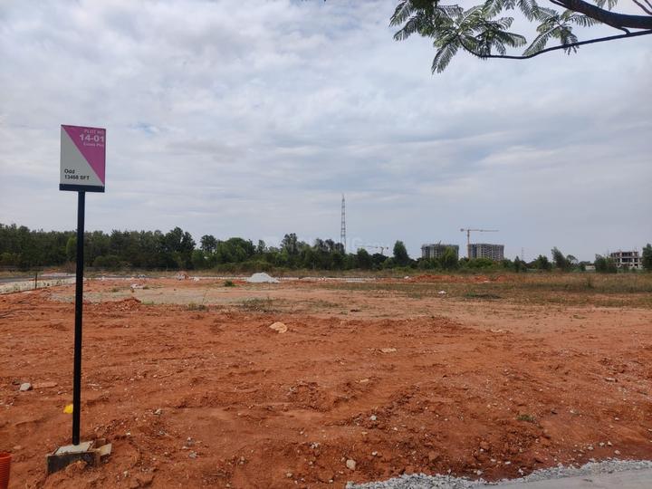 Tangled Up In Green Main Image 1