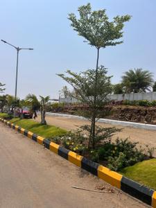 Image of 604 Sq.ft Residential Plot / Land for sale in Shankarpally, Hyderabad for Rs. 4840000