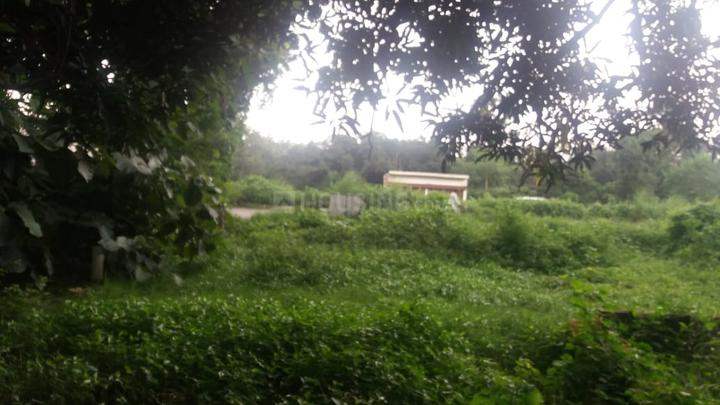 Balaganj Main Image 1