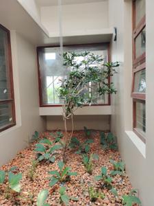 Bedroom Image of 3910 Sq.ft 4 BHK Independent House for sale in Kakkanad Kochi for Rs. 37500000