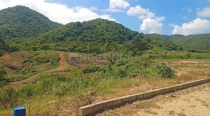 Anaikatti Main Image 1