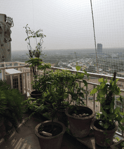 Image of 6160 Sq.ft 5 BHK Penthouse for sale in Adani Water Lily, Shantigram, Ahmedabad for Rs. 47500000