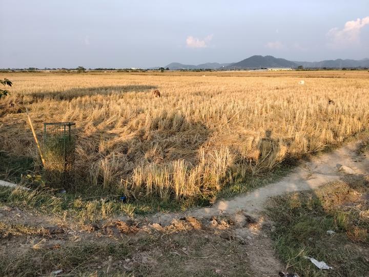 Dharapur Main Image 1