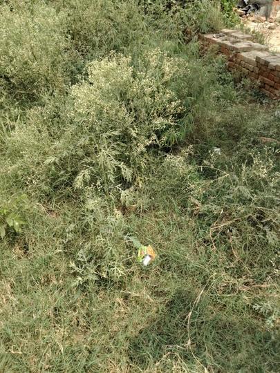 Raj Nagar Extension Main Image 1