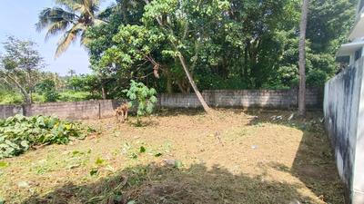Image of 1750 Sq.ft Residential Plot / Land for sale in Kakkanad, Kochi for Rs. 950000