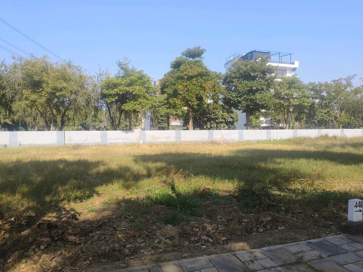 Vatika Xpressions Main Image 1