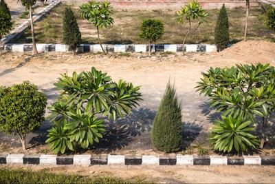 Image of 1000 Sq.ft Residential Plot / Land for sale in Banthra Sikander Pur, Lucknow for Rs. 1549999