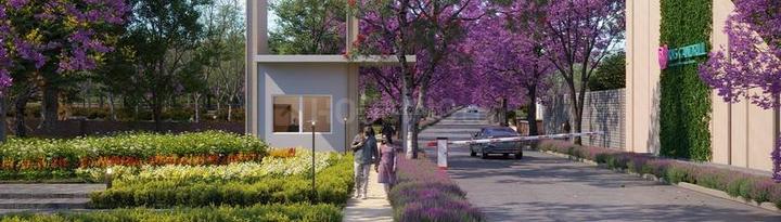 KNS Candrill Main Image 1