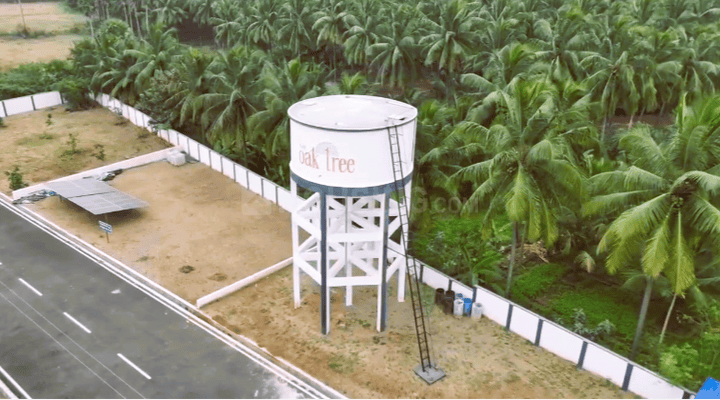 RR Oak Tree Main Image 1