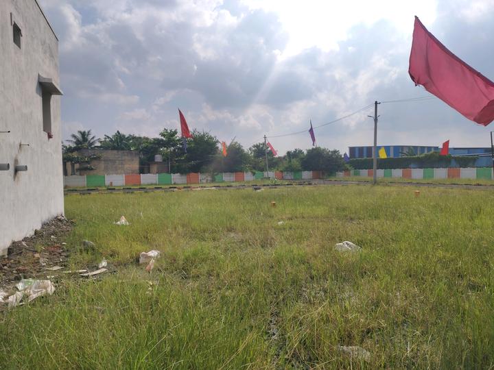 JK Golden Avenue Main Image 1