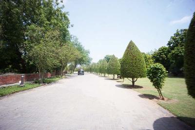 Image of 2323 Sq.ft Residential Plot / Land for sale in Kolat, Ahmedabad for Rs. 80000000