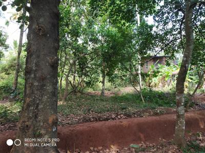 Image of 7600 Sq.ft Residential Plot / Land for sale in Pallimukku, Kollam for Rs. 7800000
