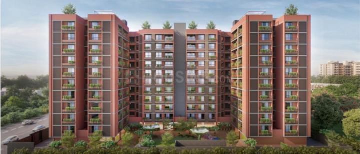 Shilaj Main Image 1