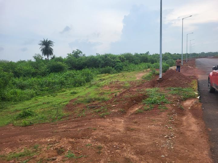 BASUDHA JANKIA Main Image 1