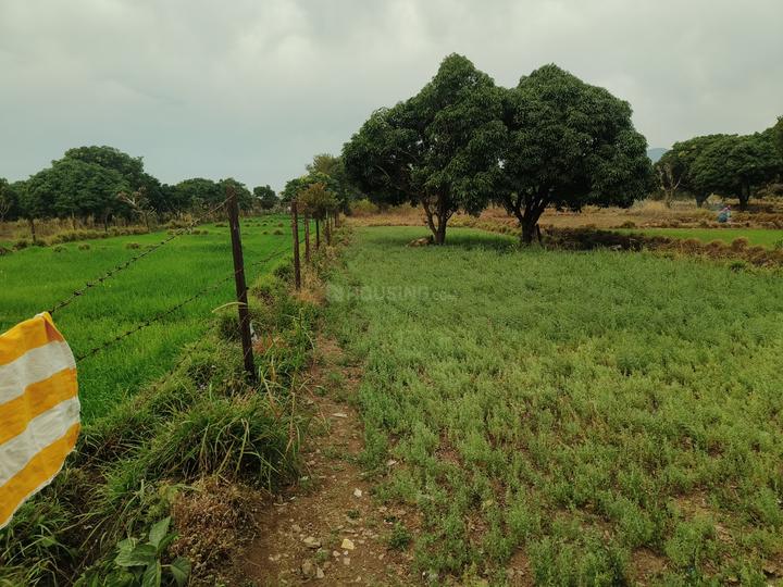 Selakui Main Image 1