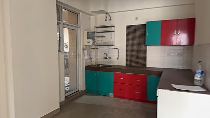 Exotica Dreamville Main Image 1