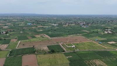 Rajvanam Plot View 2