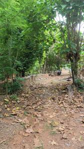Image of 21780 Sq.ft Residential Plot / Land for sale in Cherpu, Thrissur for Rs. 7500000