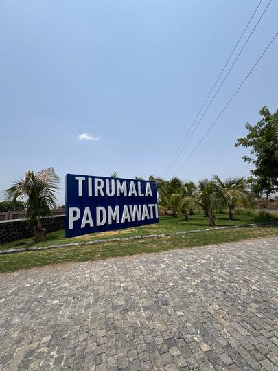 Target Tirumala Padmawati Main Image 1