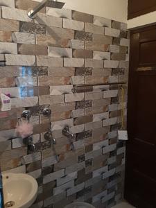 Bathroom Image of Paying guest  in Sector 7, Panchkula