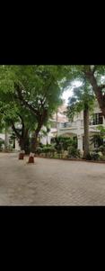 Balcony Image of 5166 Sq.ft 3 BHK Independent House for sale in Adalaj Gandhinagar for Rs. 55000000
