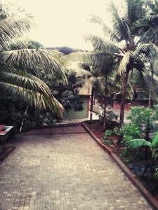 Image of 500 Sq.ft 1 BHK Apartment / Flat for rent in Mandrem, Goa for Rs. 13999