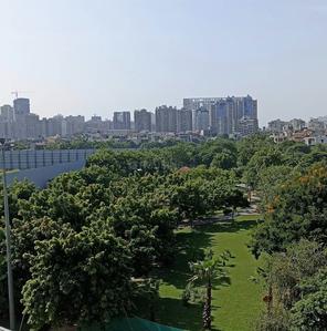 Image of 300 Sq.ft Residential Plot / Land for sale in NDA RWA, Sector 51, Noida for Rs. 81500000