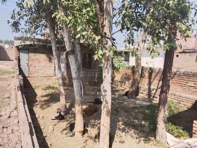 Image of 1164 Sq.ft 2 BHK Independent House for sale in Vasant Vihar, Karnal for Rs. 3500000