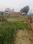 Shivpur Main Image 1