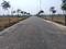 Alekhya NSR County Phase II Internal Roads 1