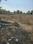 Shastripuram sector d Plot View 2