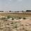 Tikra Main Image 1