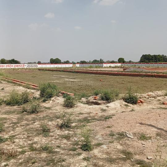 Tikra Main Image 1