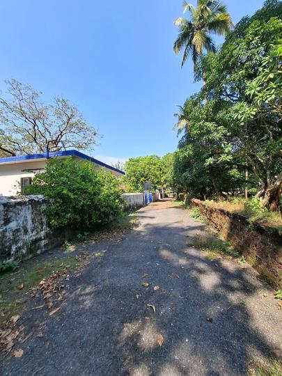 Mazal Waddo, Anjuna Main Image 1