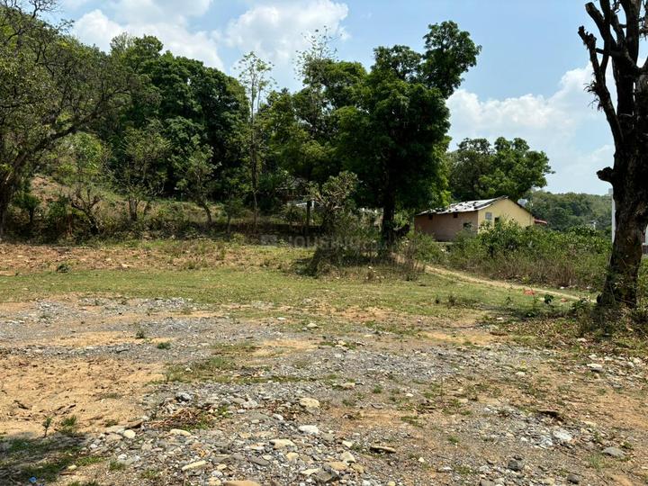 Raipur Main Image 1