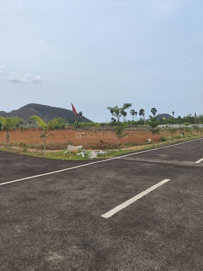 SHAYAM AVENUE Main Image 1