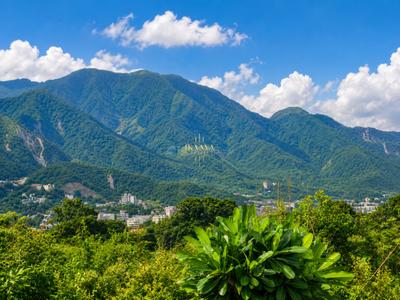 Image of 260 Sq.ft Residential Plot / Land for sale in Bhagwant Pur, Dehradun for Rs. 16900000