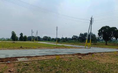 Mullur Plot View 2