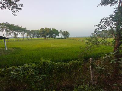 Image of 21600 Sq.ft Residential Plot / Land for sale in Galsi, Bardhaman for Rs. 200000