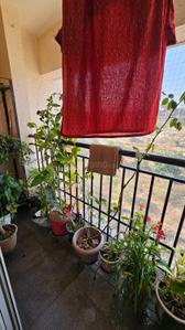 Balcony Image of 1550 Sq.ft 3 BHK Apartment / Flat for sale in Puraniks Abitante, Bavdhan Pune for Rs. 11800000