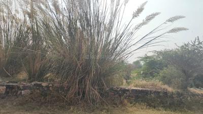 Image of 1800 Sq.ft Residential Plot / Land for sale in Jagatpura, Jaipur for Rs. 18000000