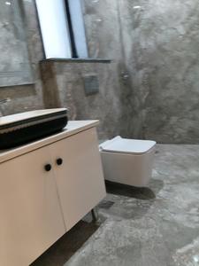 Common Bathroom Image of 2200 Sq.ft 4 BHK Apartment / Flat for sale in Bestech Park View Spa Next, Sector 67 Gurgaon for Rs. 39000000