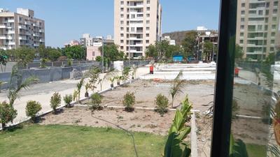 SSL Solvista Phase 1 Plot View 2