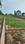 Bihta Main Image 1