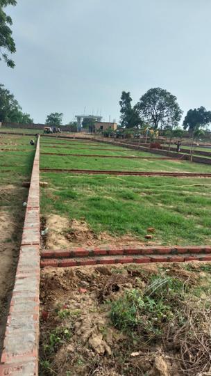 Bihta Main Image 1