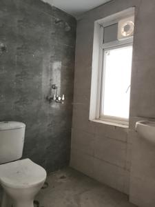 Common Bathroom Image of 750 Sq.ft 2 BHK Apartment / Flat for rent in Amrapali Dream Valley 2, Noida Extension Greater Noida for Rs. 16000